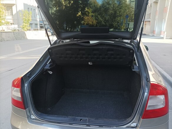 2010 Skoda Octavia II (A5) Рестайлинг, серый - вид 8