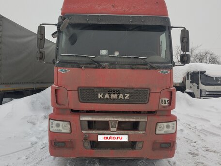 2016 КамАЗ 5490, красный, 1600000 рублей, вид 2