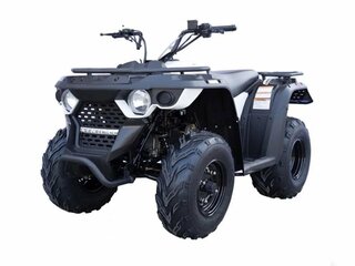 2026 Linhai M200, чёрный, 199000 рублей, вид 1