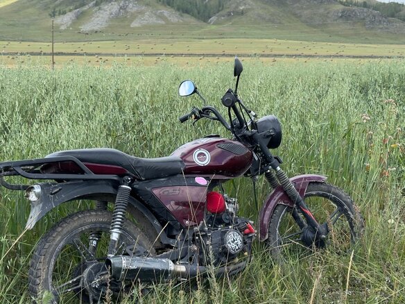 2022 Racer Alpha, пурпурный, 45000 рублей - вид 7