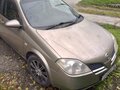 2001 Nissan Primera III (P12), золотистый - вид 11