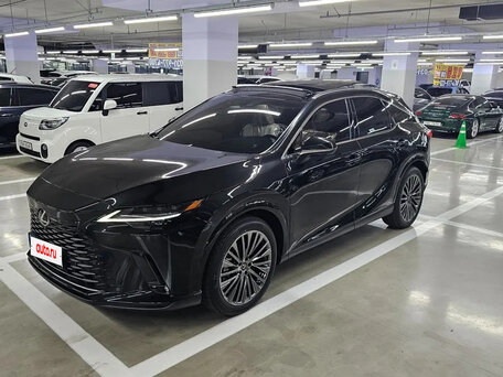 Lexus RX V