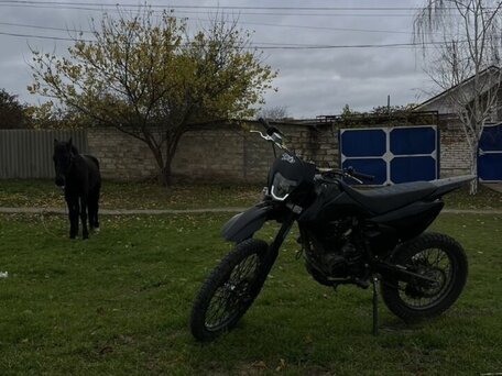 2023 Motoland XR250, чёрный, 110000 рублей, вид 1