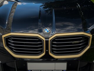 2023 BMW XM, чёрный, 17000000 рублей, вид 4