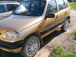 2004 Chevrolet Niva I, золотистый, 220000 рублей, вид 1