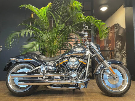 2025 Harley-Davidson Fat Boy, серебристый, 6000000 рублей, вид 1