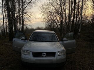 2001 Volkswagen Passat B5, серебристый, 400000 рублей, вид 2