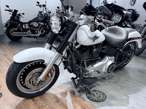 2011 Harley-Davidson Fat Boy, белый, 1399000 рублей - вид 7