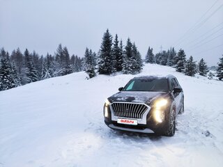 2021 Hyundai Palisade I, чёрный, 4950000 рублей, вид 3