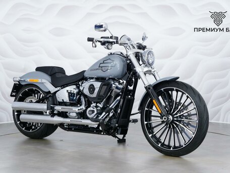 2025 Harley-Davidson Breakout, серый, 3199000 рублей, вид 5
