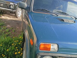 2011 Lada (ВАЗ) 2121 (4x4) I Рестайлинг, зелёный, 410000 рублей, вид 2