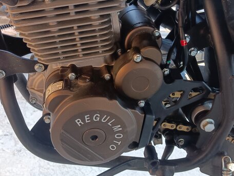 2023 Regulmoto Sport 003, зелёный, 120000 рублей, вид 4