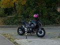 2013 Kawasaki Z 800, белый, 500000 рублей