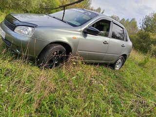 2009 Lada (ВАЗ) Kalina I, серый, 290000 рублей, вид 4