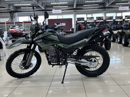 2026 Regulmoto Sport 003, зелёный, 149000 рублей, вид 5