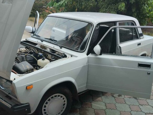 2007 Lada (ВАЗ) 21053-20, белый, 350000 рублей - вид 11
