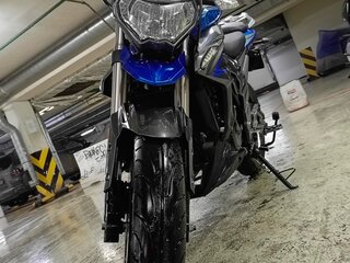 2022 Regulmoto T-Leopard 300, синий, 200000 рублей, вид 3