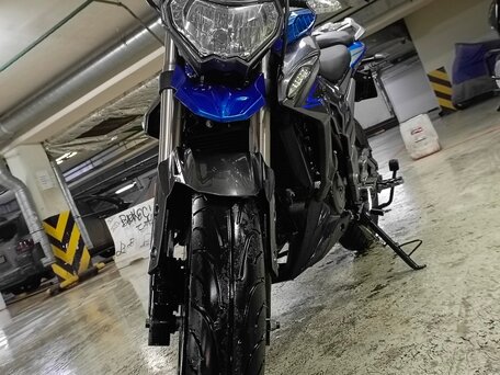 2022 Regulmoto T-Leopard 300, синий, 150000 рублей, вид 3