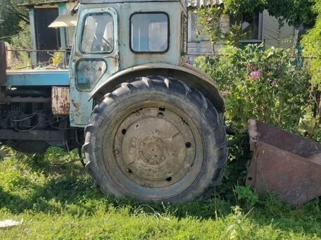 1989 ЛТЗ Т-40АМ, голубой, 200000 рублей, вид 1