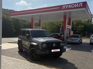 2024 Tank 300 I, серый, 3770000 рублей, вид 1