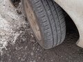 2008 Nissan March III (K12), белый - вид 9
