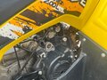 2024 Iride 200 Rover L, жёлтый, 180000 рублей - вид 10