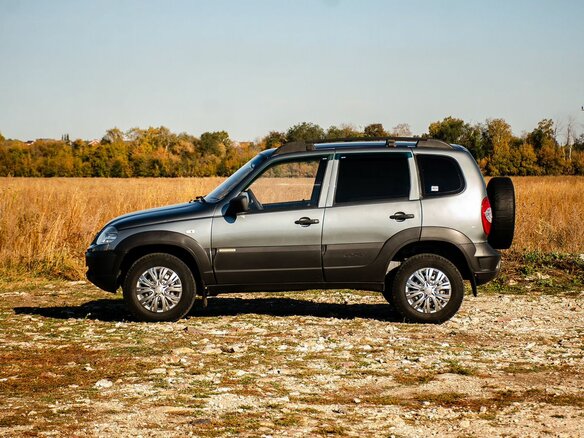 2015 Chevrolet Niva I Рестайлинг, серый, 570000 рублей - вид 6