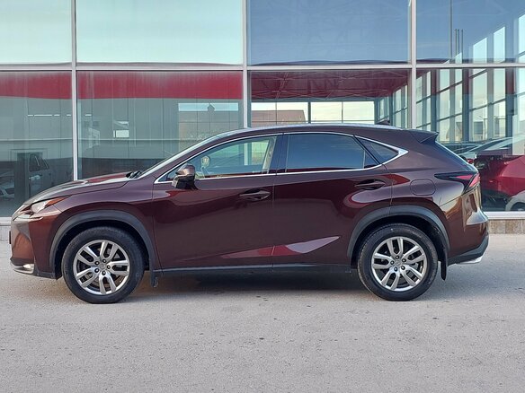 2017 Lexus NX 300 I Рестайлинг, коричневый, 2599000 рублей - вид 8