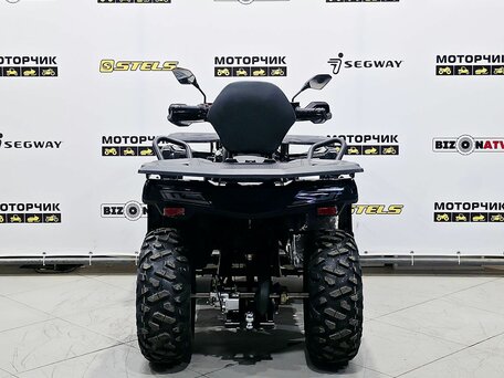 2026 Bizon YK250 LUX EFI, чёрный, 255000 рублей, вид 4