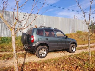 2009 Chevrolet Niva I Рестайлинг, серый, 319000 рублей, вид 3