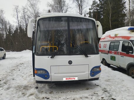 2009 КАвЗ 4238, белый, 1100000 рублей, вид 1