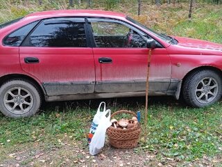 1995 Toyota Carina E, красный, 220000 рублей, вид 5