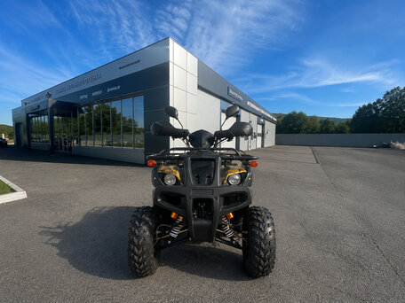2026 Avantis Hunter 250, зелёный, 150000 рублей, вид 3