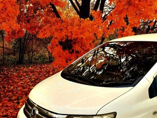 2010 Honda Freed Spike I Рестайлинг, белый, 1170000 рублей, вид 3