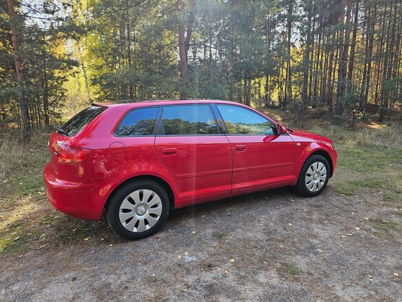 2005 Audi A3 II (8P) Рестайлинг 1, красный, 620000 рублей - вид 4