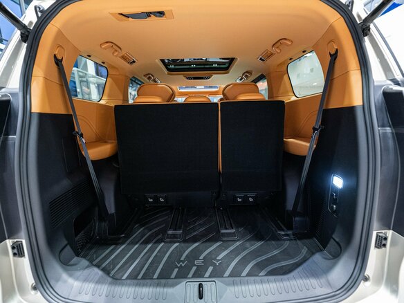 2024 Wey 80 Premium 37.96 kWh, золотистый, 6899000 рублей - вид 14