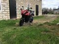 2013 Triumph Tiger 1050, красный, 540000 рублей - вид 6