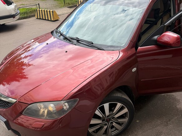 2008 Mazda 3 I (BK) Рестайлинг, красный - вид 20