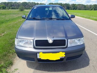 2008 Skoda Octavia I (A4) Рестайлинг, серый, 400000 рублей, вид 2