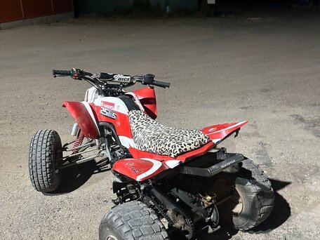 2013 Irbis ATV 250S, красный, 145000 рублей, вид 4