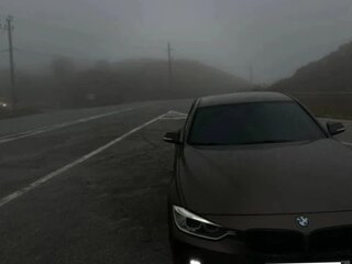 2013 BMW 3 серии 316i VI (F3x), коричневый, 1300000 рублей, вид 5