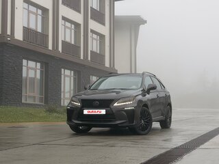 2010 Lexus RX 350 III, чёрный, 2500000 рублей, вид 5