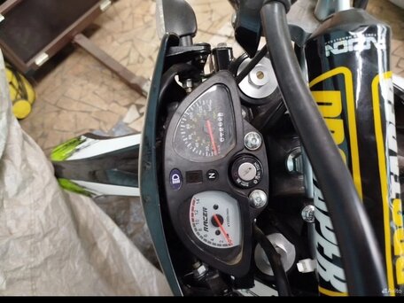 2021 Racer Panther, зелёный, 120000 рублей, вид 2
