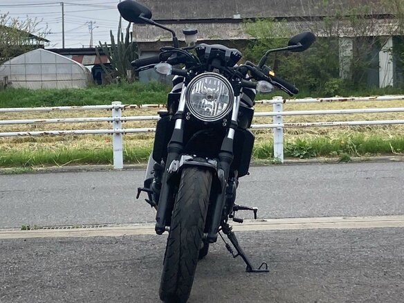 2024 Suzuki SV 650, чёрный, 677000 рублей - вид 2