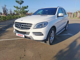 2015 Mercedes-Benz M-Класс 300 III (W166), белый, 2800000 рублей, вид 1
