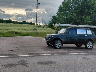2003 Lada (ВАЗ) 2131 (4x4) I, зелёный, 150000 рублей, вид 2