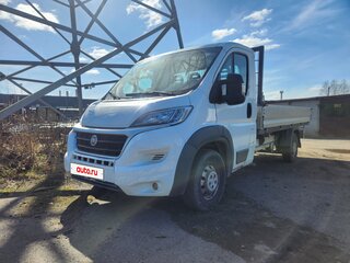 2013 Fiat Professional Ducato, белый, 1378000 рублей, вид 1