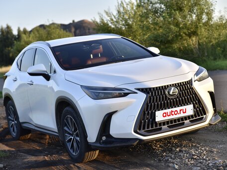 2022 Lexus NX 250 II, белый, 5450000 рублей, вид 4