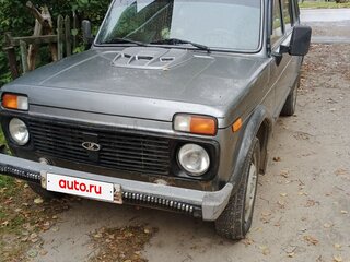 2010 Lada (ВАЗ) 2131 (4x4) I, серый, 280000 рублей, вид 1