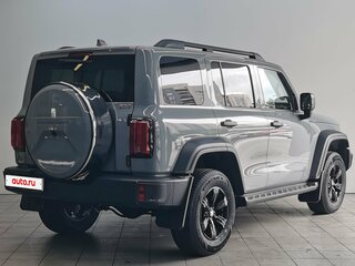 2024 Tank 300 I, серый, 3890000 рублей, вид 5